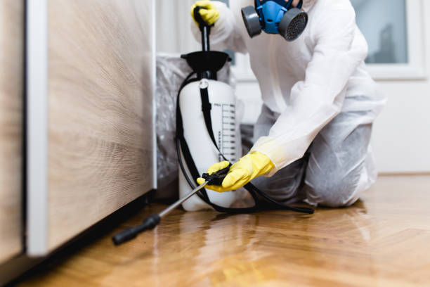 Best Ant Control Services  in Pahokee, FL