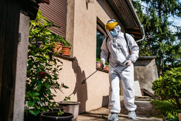 Best Termite Control Services  in Pahokee, FL