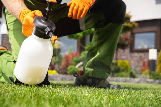 Best Pest Removal Services  in Pahokee, FL