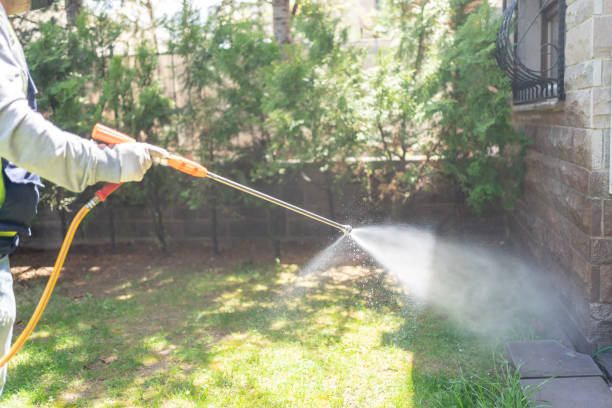 Reliable Pahokee, FL Pest Control Solutions