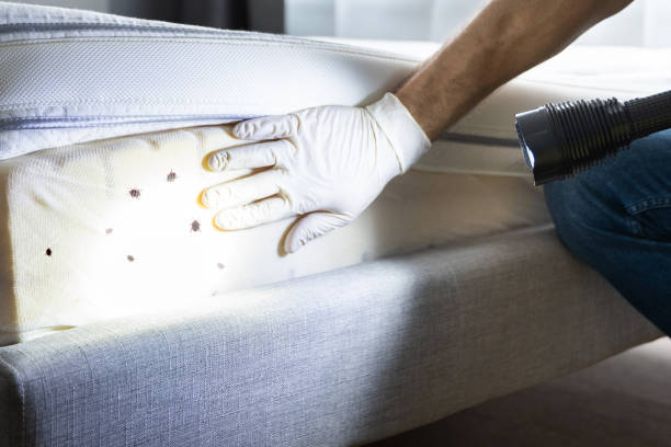 Best Residential Pest Control  in Pahokee, FL