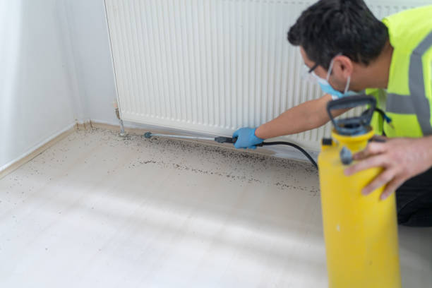 Best Exterminator Services  in Pahokee, FL