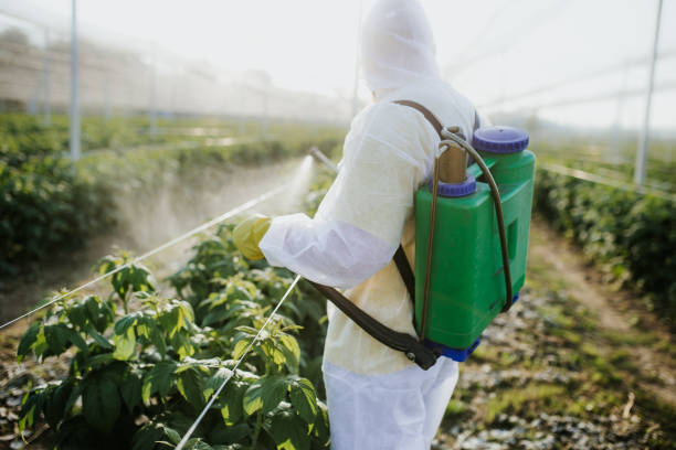 Best Wildlife Control Services  in Pahokee, FL